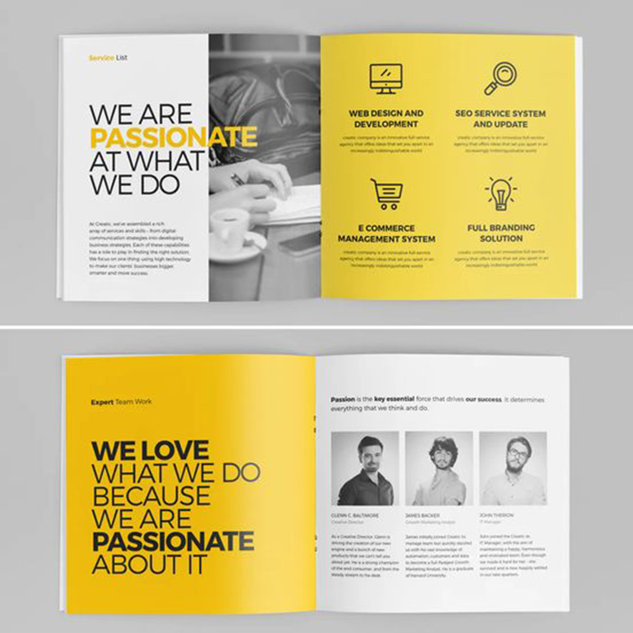 Brochure Design for Traditional Branding Kit pages