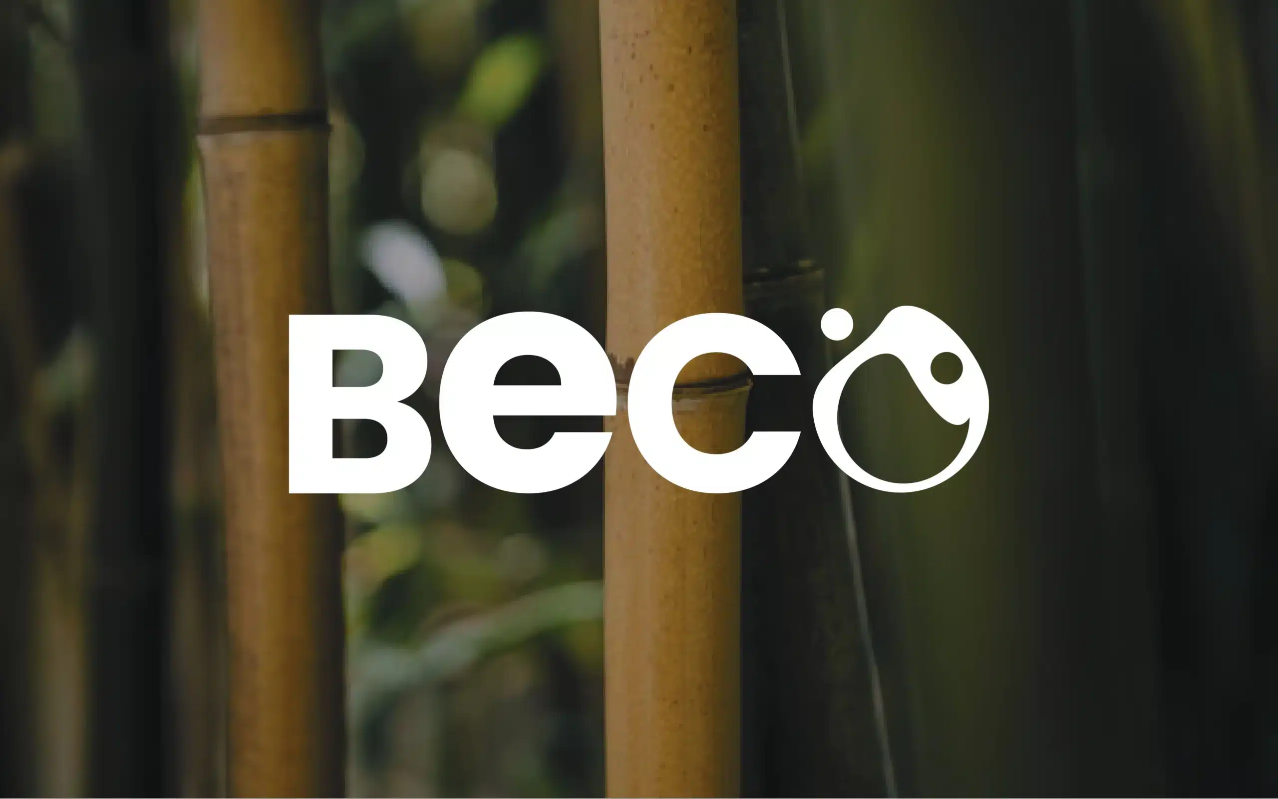 Beco Brand Identity Design