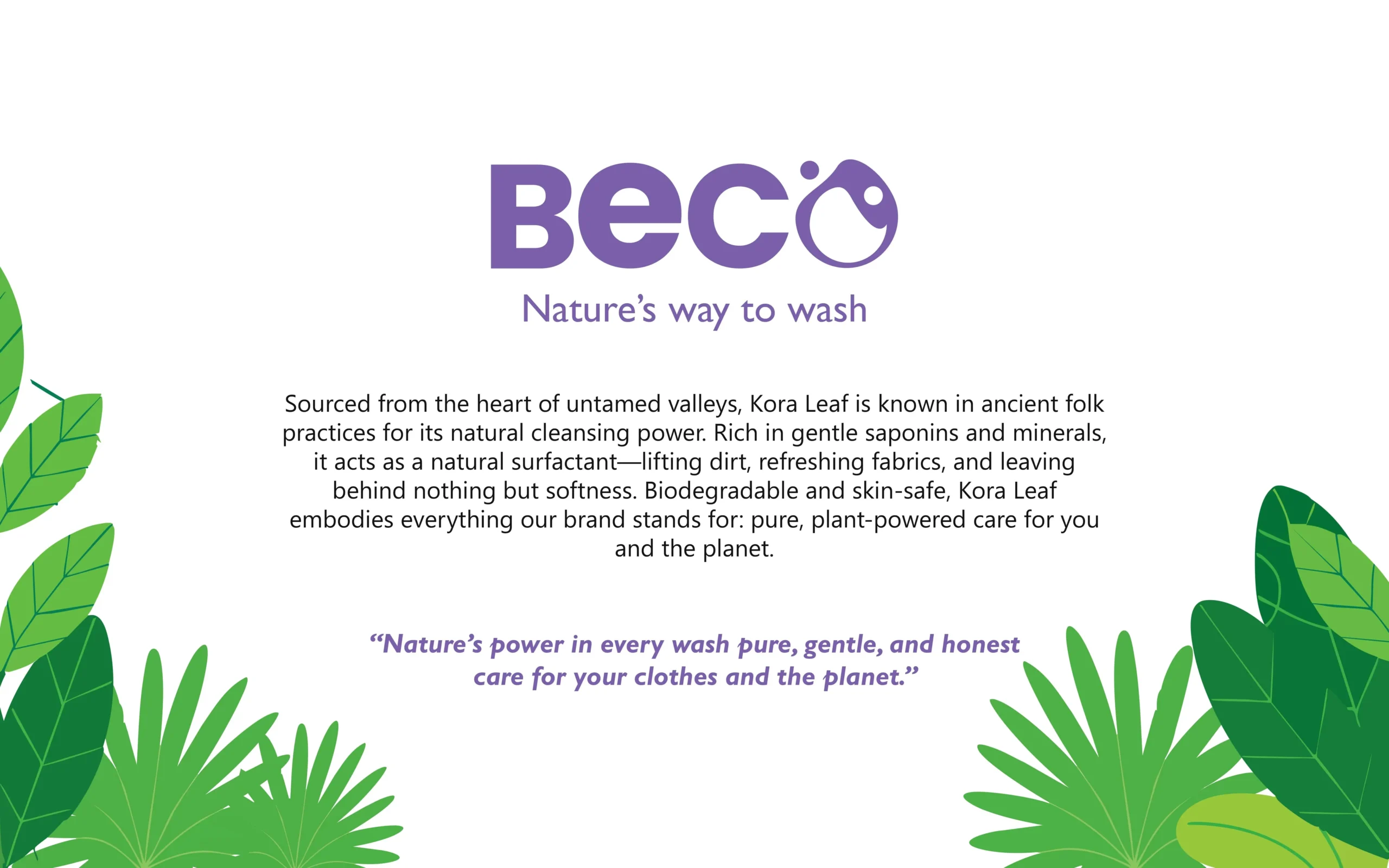 Beco Brand Identity Design