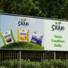 Saavi Brand Identity Design