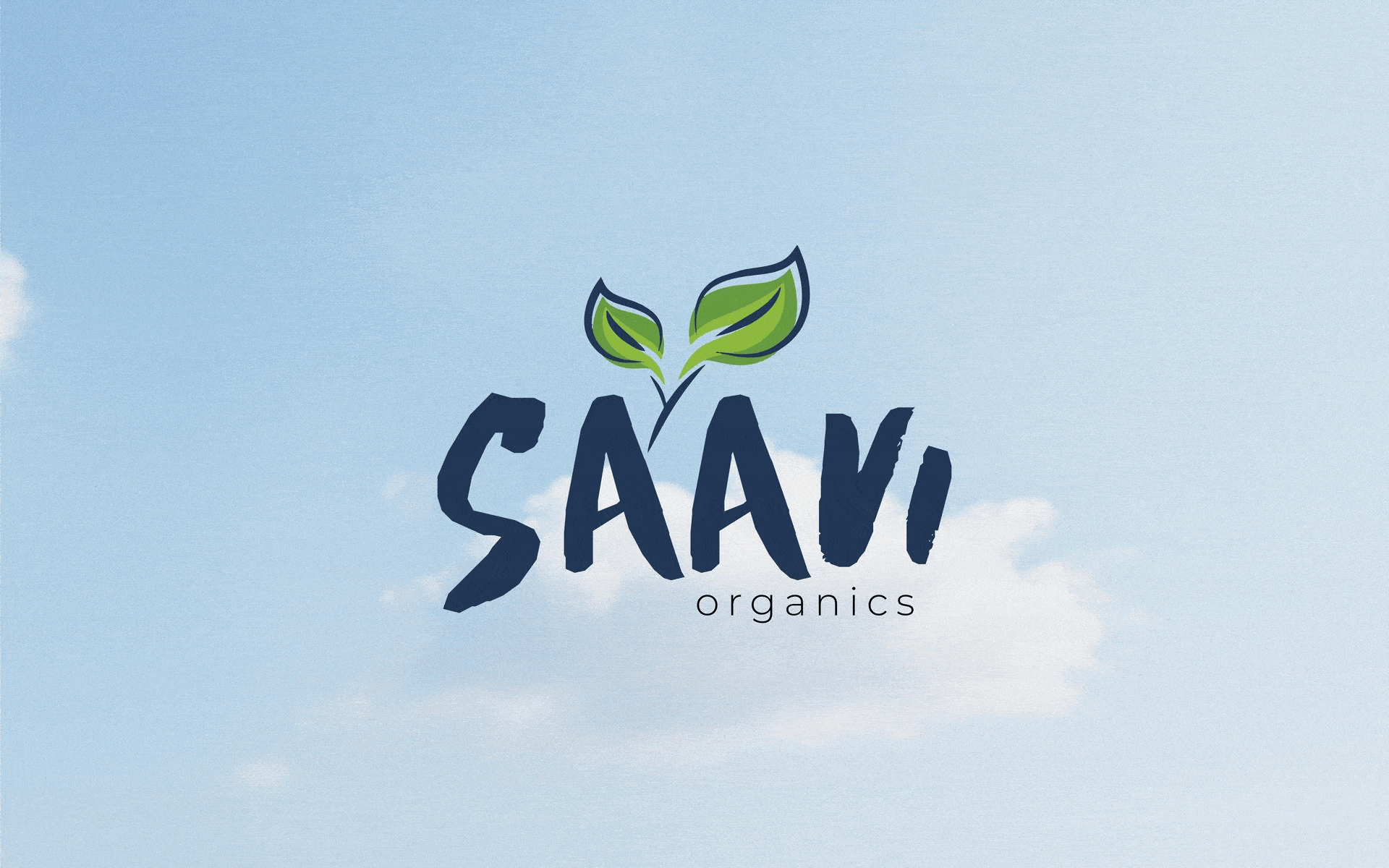 Saavi Brand Identity Design GIF Format