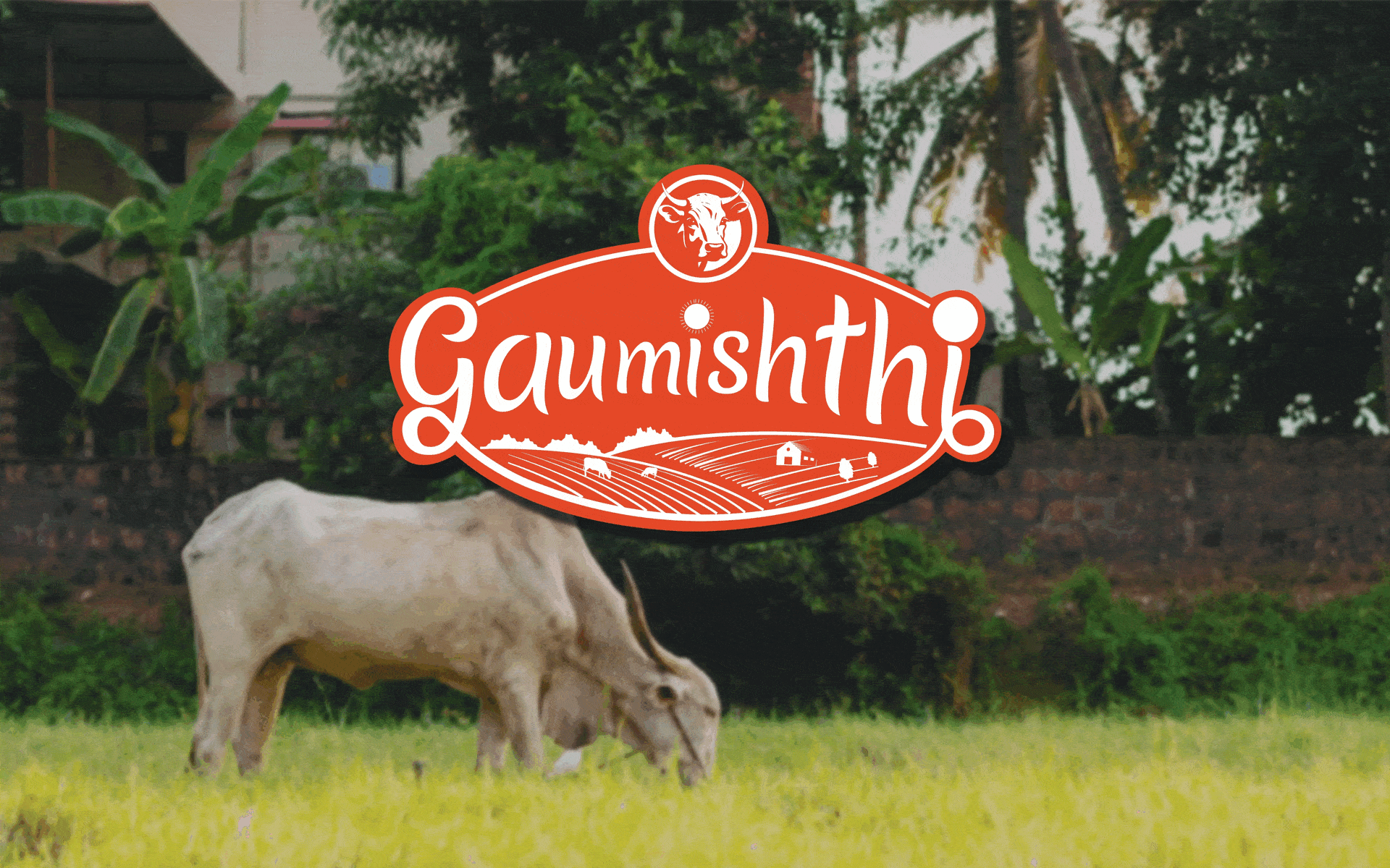 Gaumishthi Gif
