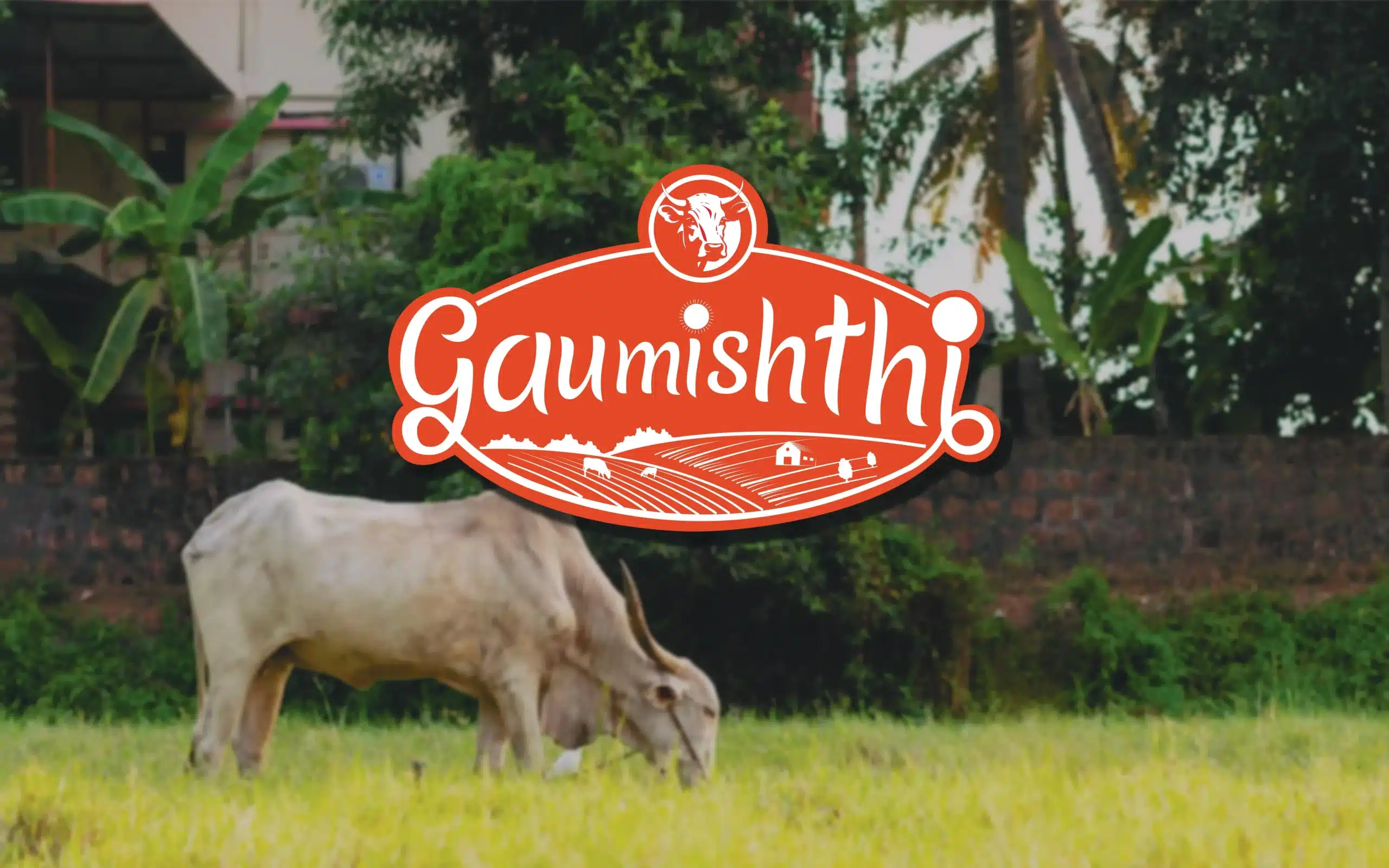 Gaumishthi Brand Identity Design