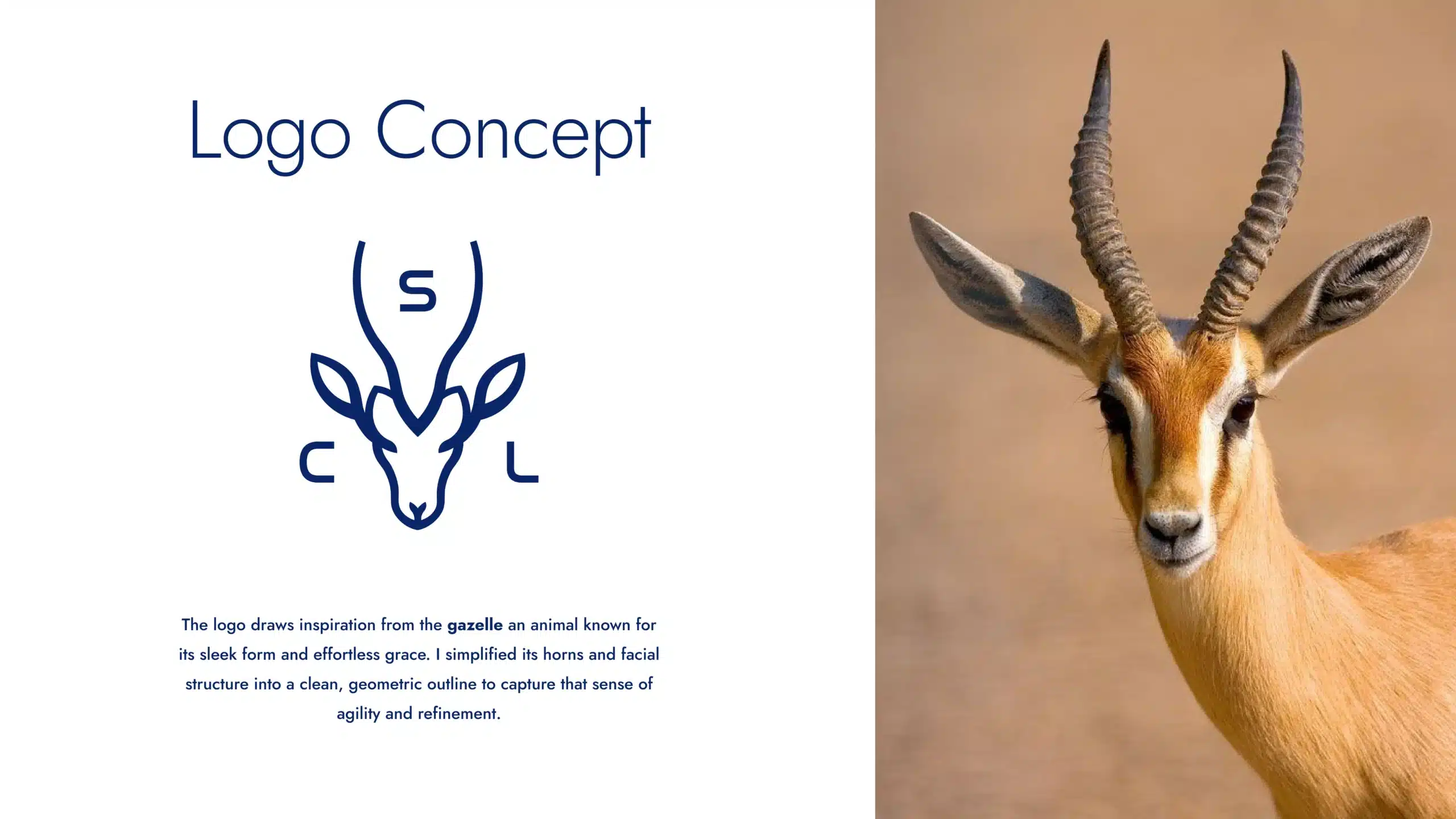 Crystalicious Dubai Brand Identity