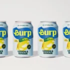 Burp Brand Identity and Brand Strategy