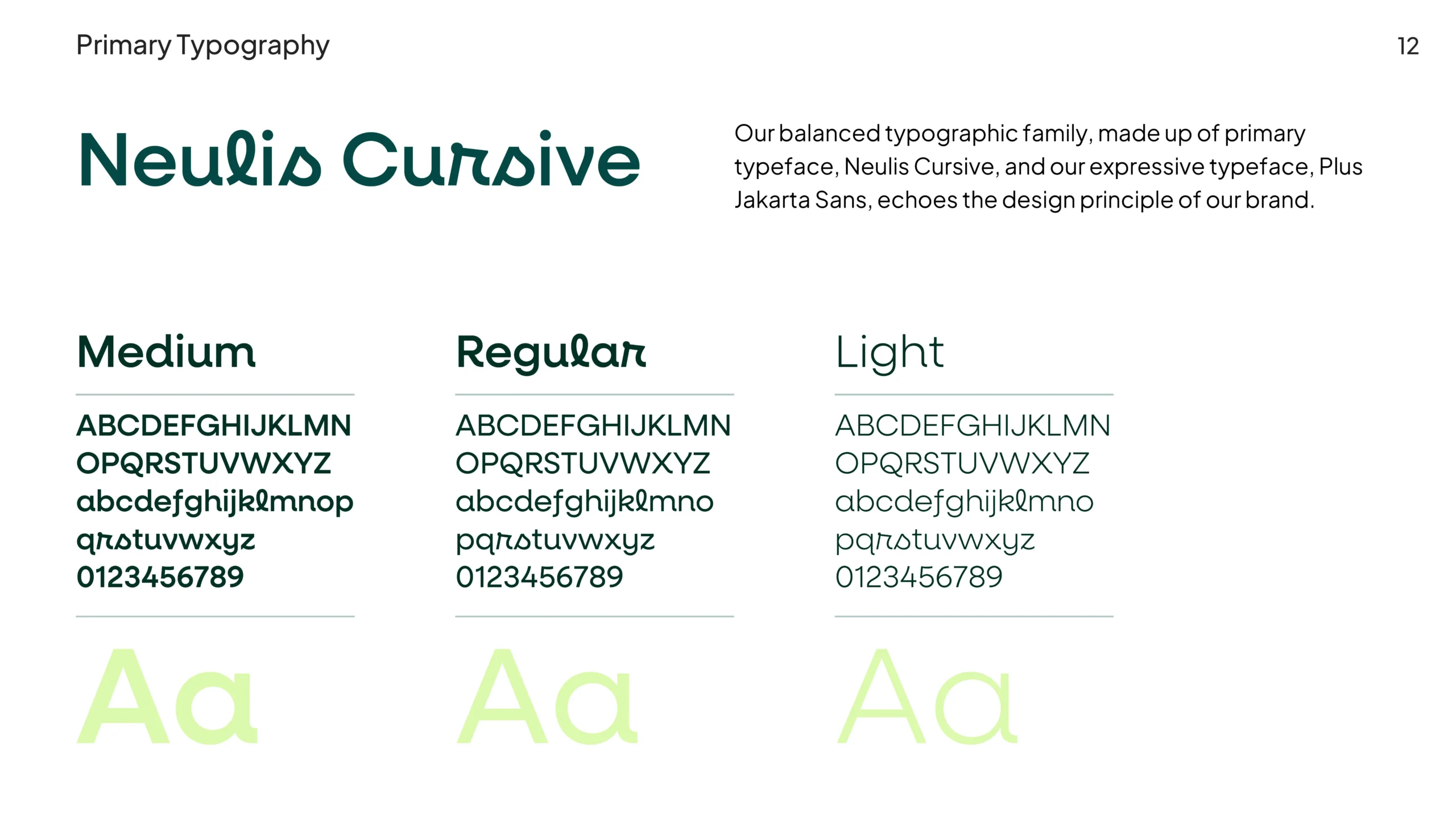 LifeRise Brand Identity and Brand Strategy