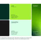 LifeRise Brand Identity and Brand Strategy