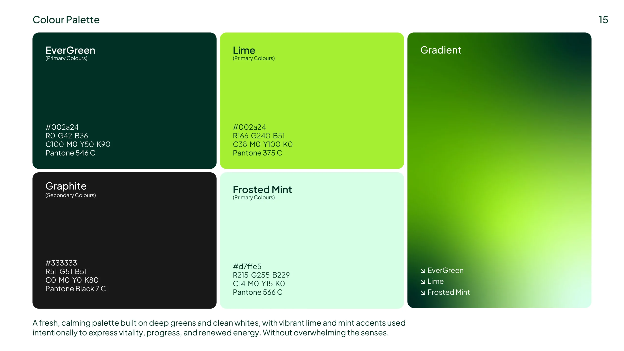LifeRise Brand Identity and Brand Strategy
