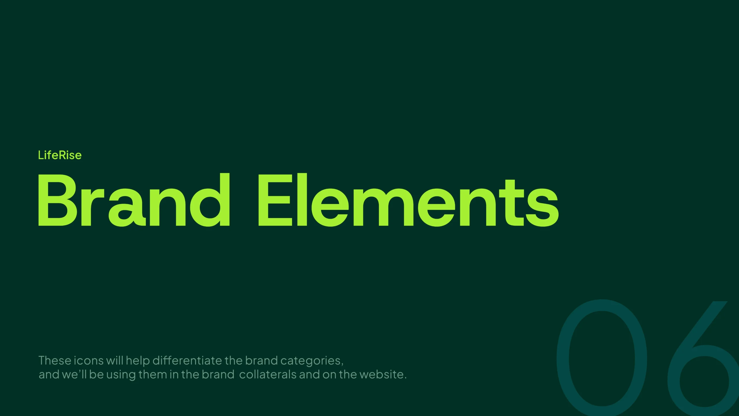 LifeRise Brand Identity and Brand Strategy