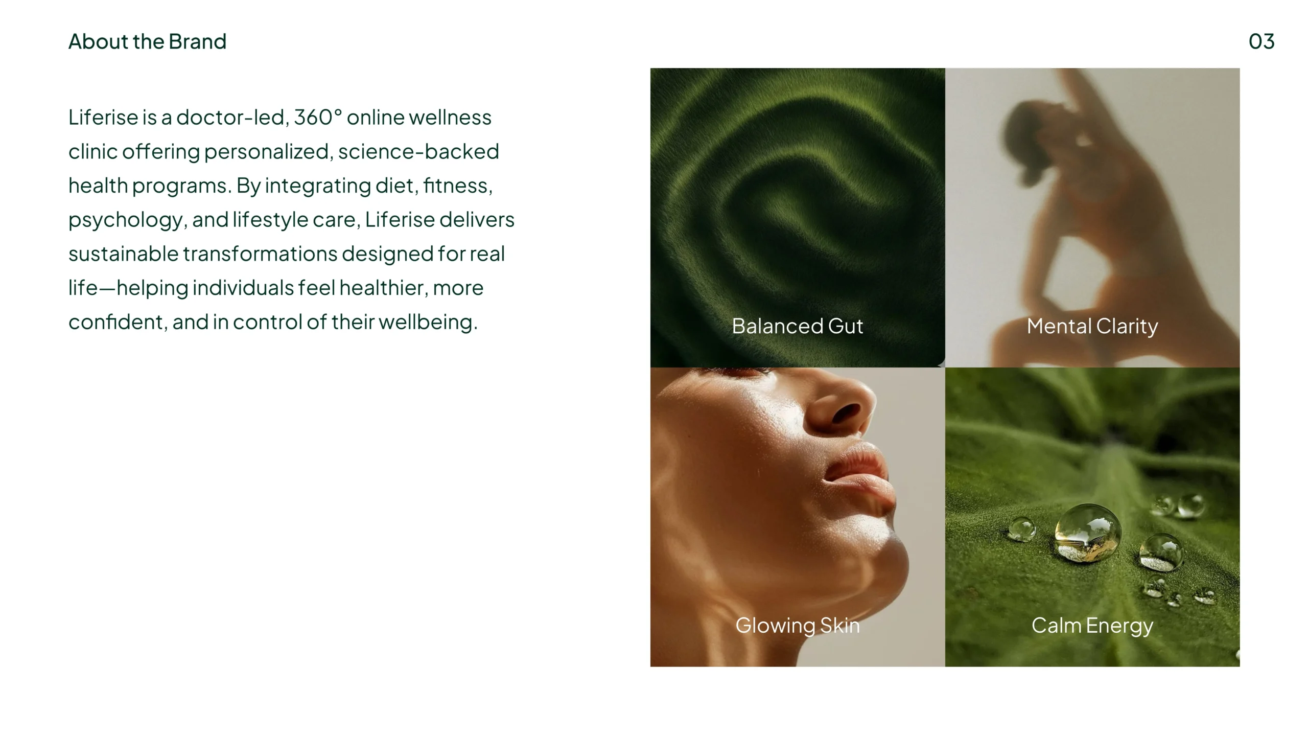 LifeRise Brand Identity and Brand Strategy