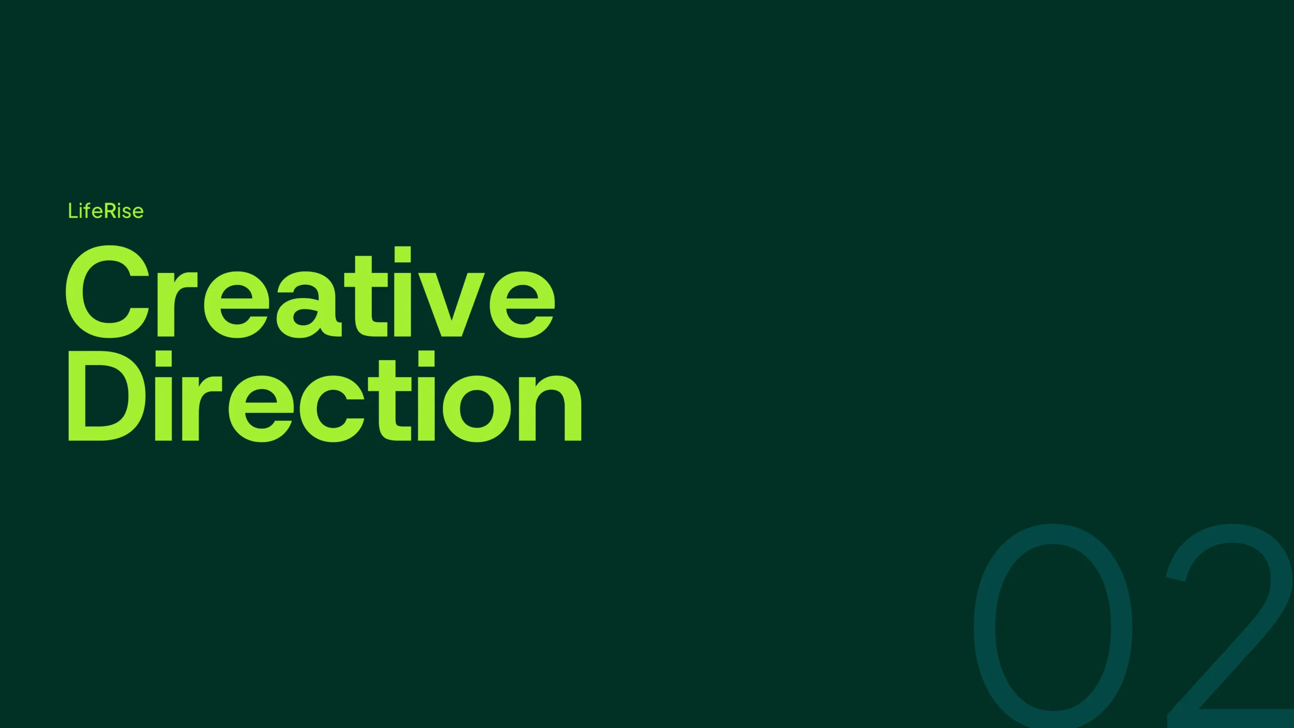 LifeRise Brand Identity and Brand Strategy