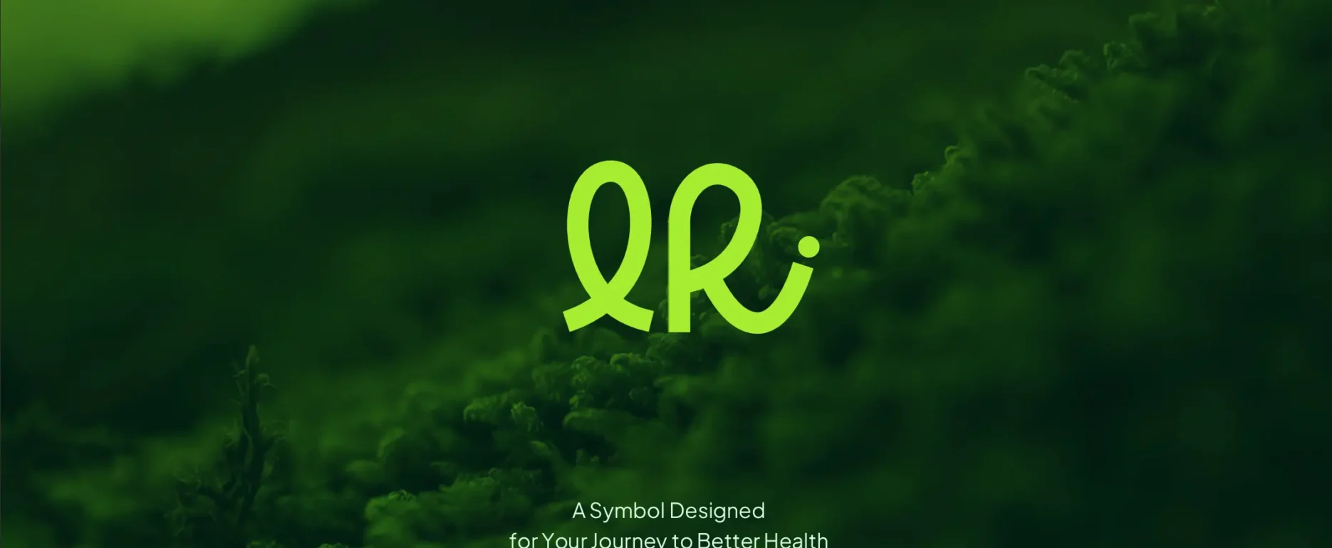 LifeRise Brand Identity and Brand Strategy Thumbnail