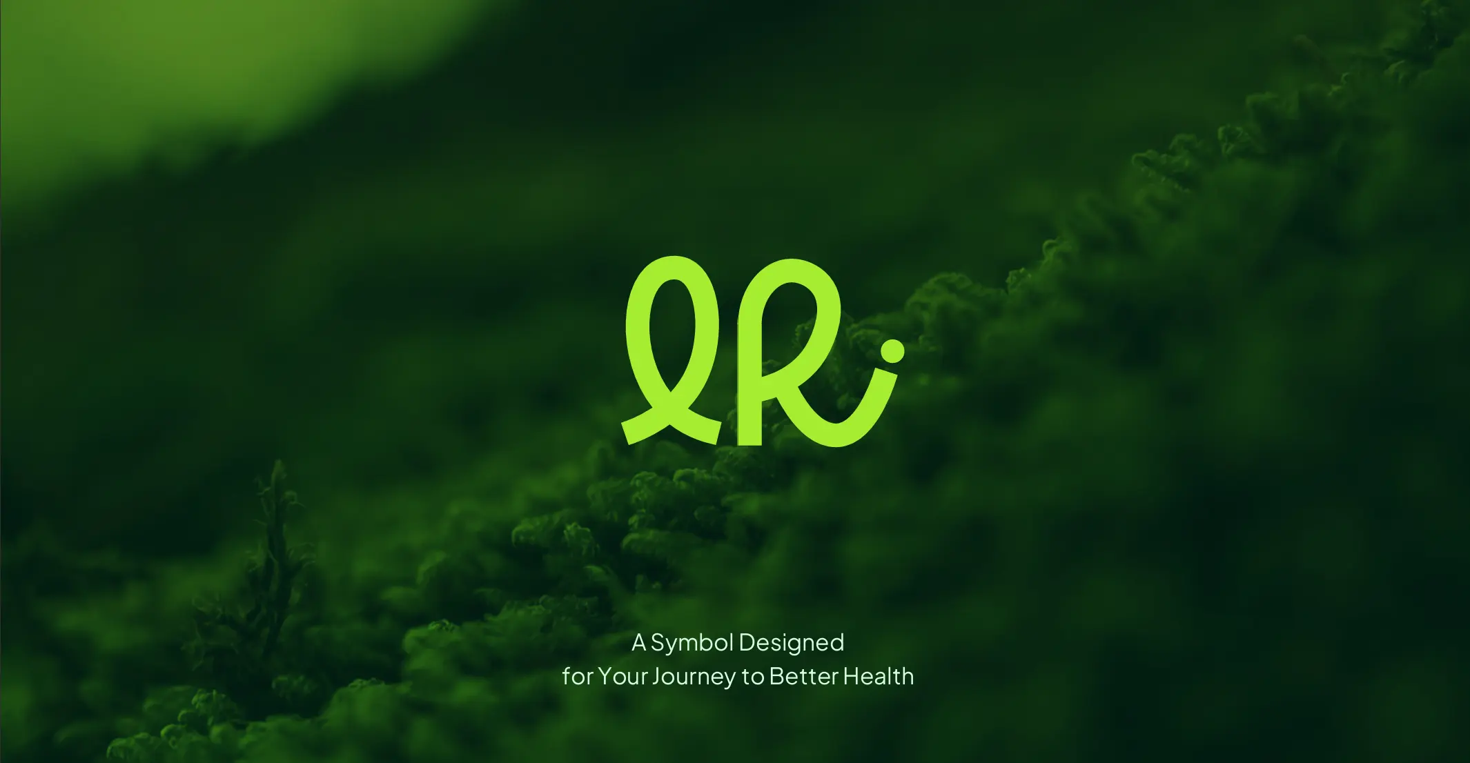 LifeRise Brand Identity and Brand Strategy Thumbnail