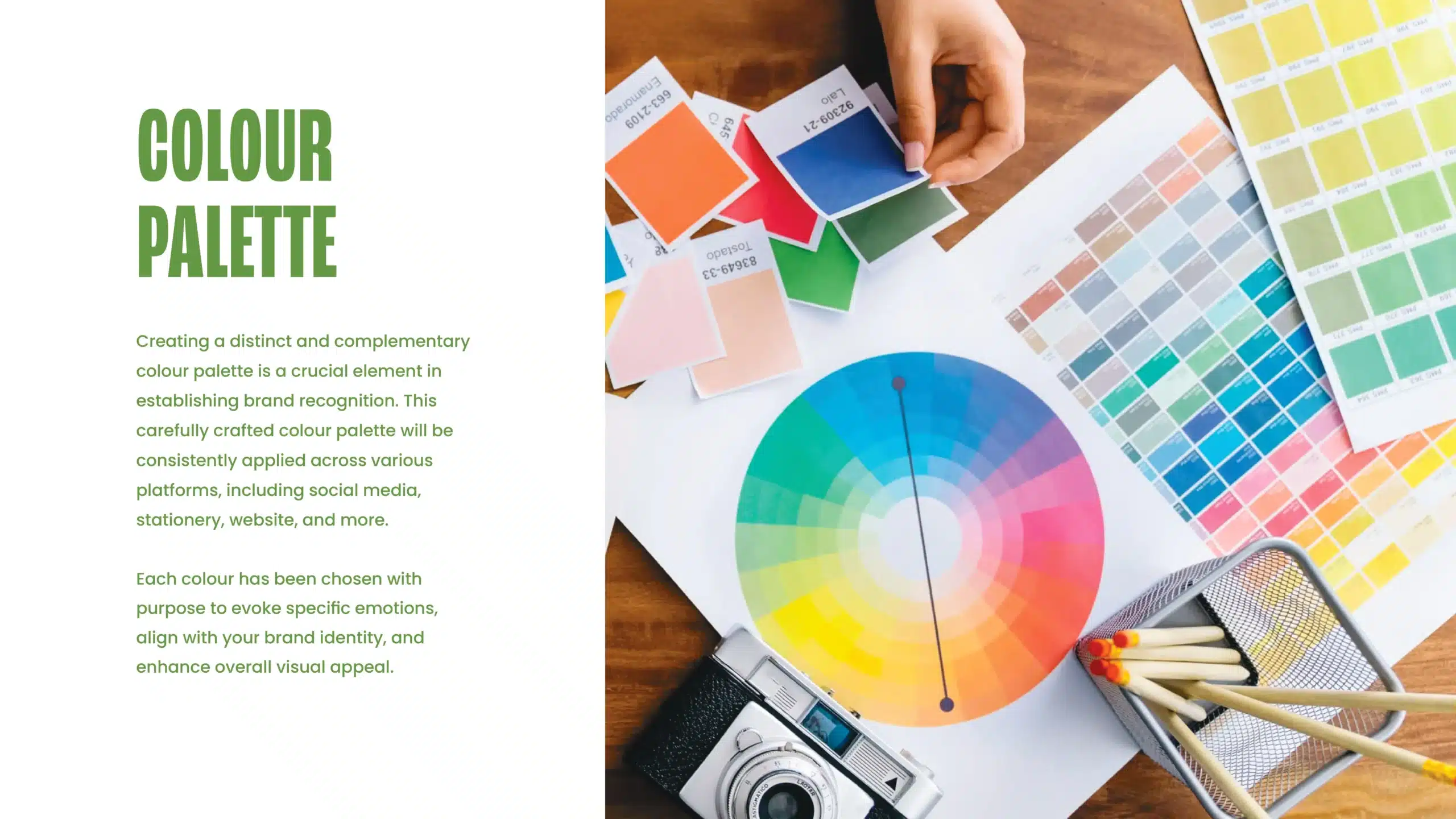 Vedful Brand Identity and Brand Strategy