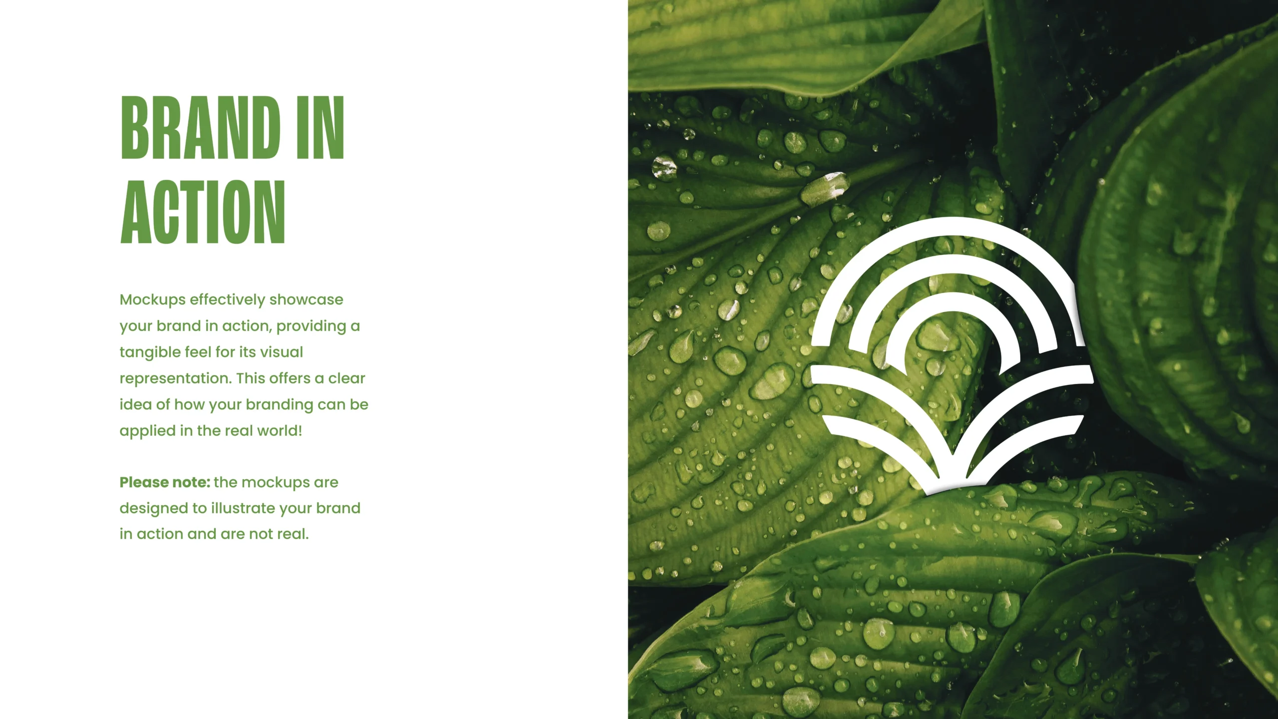 Vedful Brand Identity and Brand Strategy